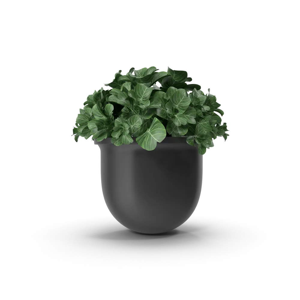 Plant Pot — imagem 2