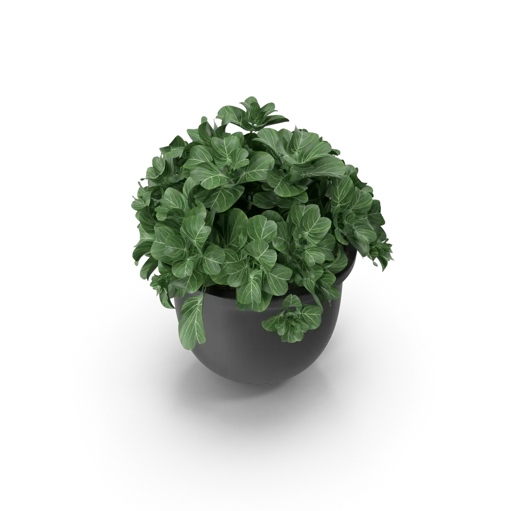 Plant Pot — imagem 4